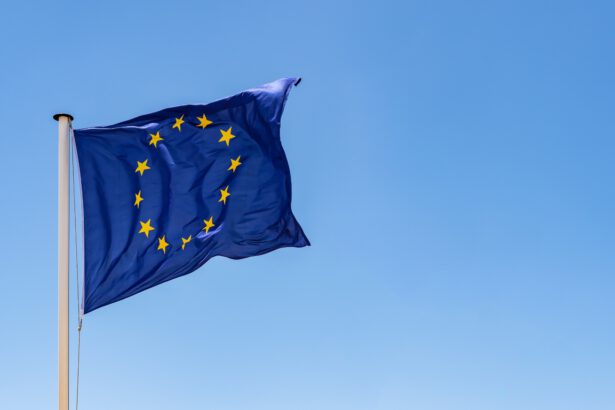UE, unia europejska, Pegasus