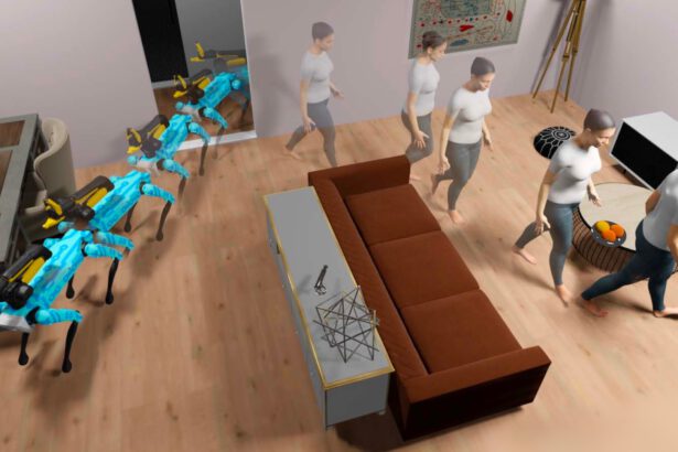 Habitat 3.0, meta