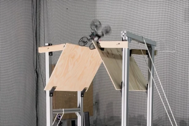 dron Morphy